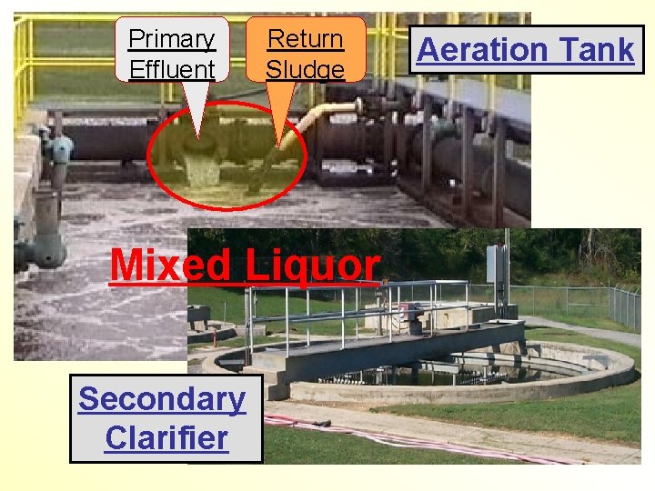 Primary Effluent Return Sludge Mixed Liquor Secondary Clarifier Aeration Tank 