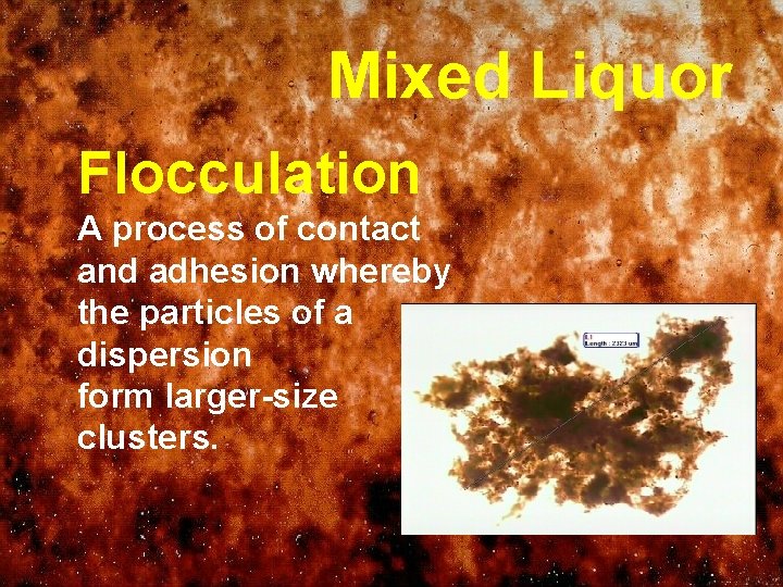 Mixed Liquor Flocculation A process of contact and adhesion whereby the particles of a