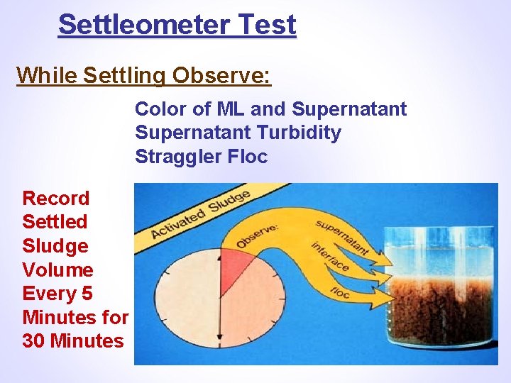 Settleometer Test While Settling Observe: Color of ML and Supernatant Turbidity Straggler Floc Record