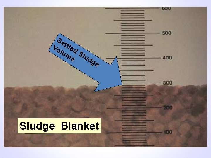 Se Vo ttled lum S e ludg e Sludge Blanket 