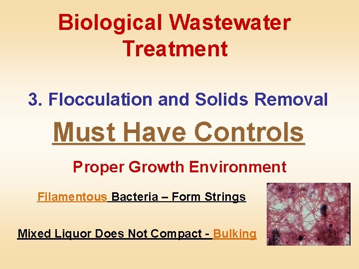Biological Wastewater Treatment 3. Flocculation and Solids Removal Must Have Controls Proper Growth Environment
