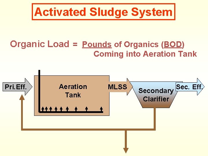 Activated Sludge System Organic Load = Pounds of Organics (BOD) Coming into Aeration Tank