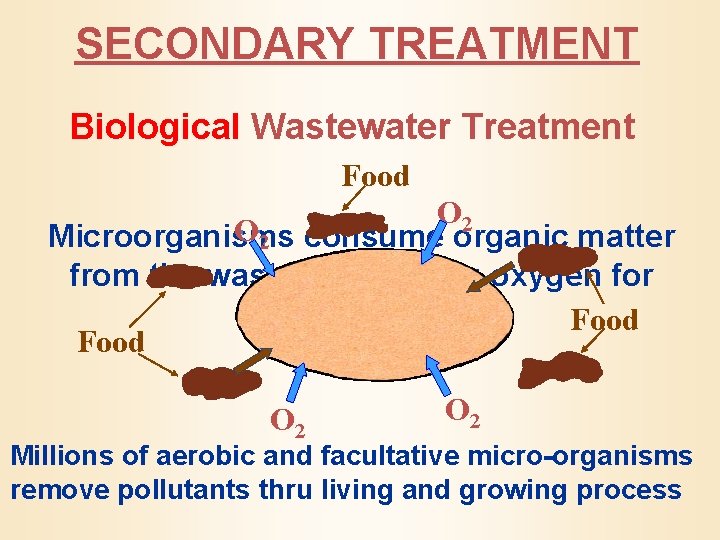 SECONDARY TREATMENT Biological Wastewater Treatment Food O 2 consume organic matter Microorganisms from the