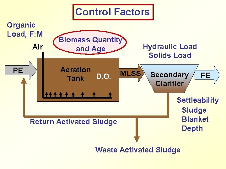 Control Factors Organic Load, F: M Air PE Biomass Quantity and Age Aeration D.