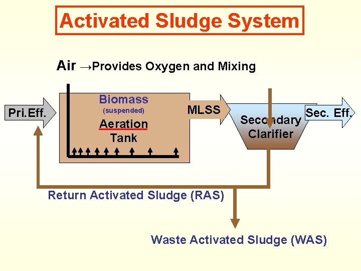 Activated Sludge System Air →Provides Oxygen and Mixing Biomass Pri. Eff. (suspended) MLSS Aeration