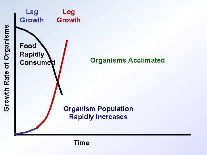 Growth Rate of Organisms Lag Growth Log Growth Food Rapidly Consumed Organisms Acclimated Organism