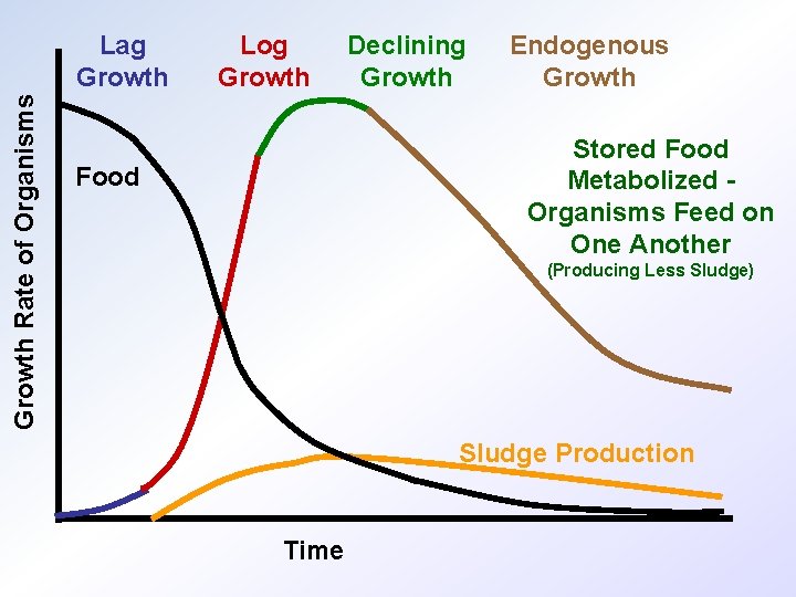 Growth Rate of Organisms Lag Growth Log Growth Declining Growth Endogenous Growth Stored Food