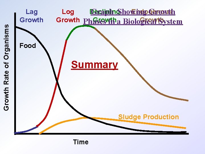 Growth Rate of Organisms Lag Growth Log Declining Endogenous Graph Showing Growth Phases Growth