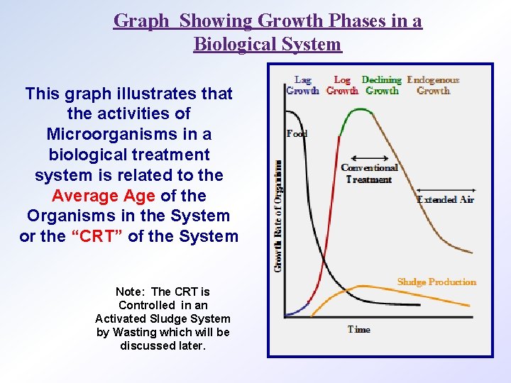 Graph Showing Growth Phases in a Biological System This graph illustrates that the activities