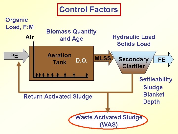 Control Factors Organic Load, F: M Air PE Biomass Quantity and Age Aeration D.