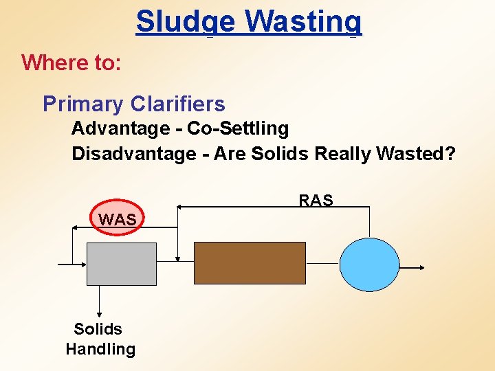 Sludge Wasting Where to: Primary Clarifiers Advantage - Co-Settling Disadvantage - Are Solids Really