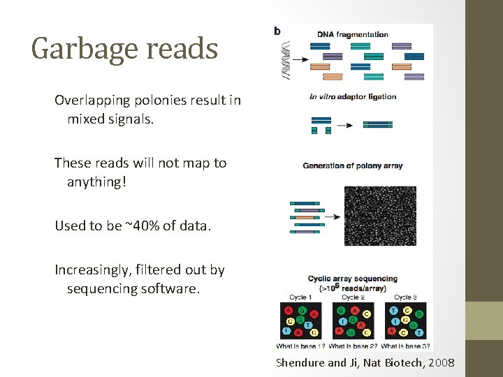 Garbage reads Overlapping polonies result in mixed signals. These reads will not map to