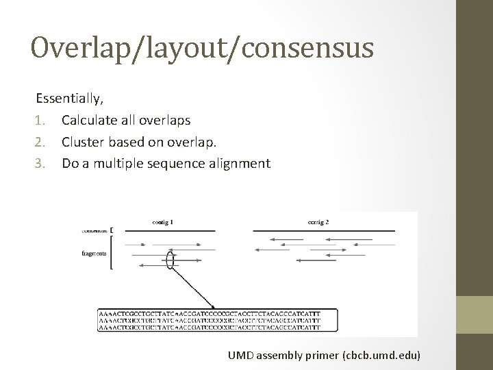 Overlap/layout/consensus Essentially, 1. Calculate all overlaps 2. Cluster based on overlap. 3. Do a