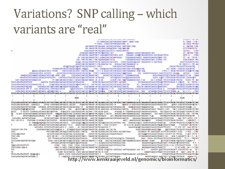 Variations? SNP calling – which variants are “real” http: //www. kenkraaijeveld. nl/genomics/bioinformatics/ 