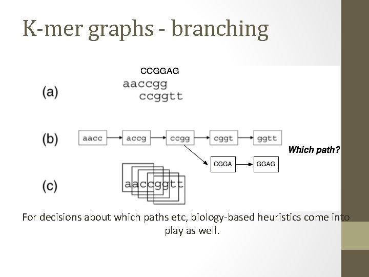 K-mer graphs - branching For decisions about which paths etc, biology-based heuristics come into