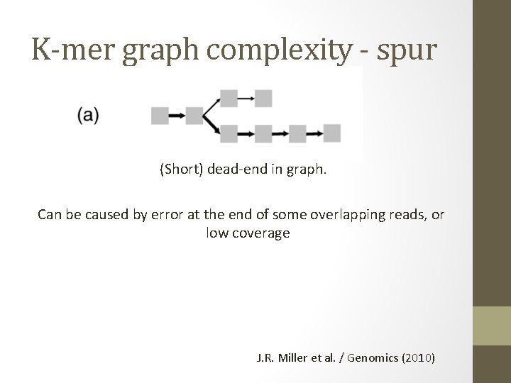 K-mer graph complexity - spur (Short) dead-end in graph. Can be caused by error