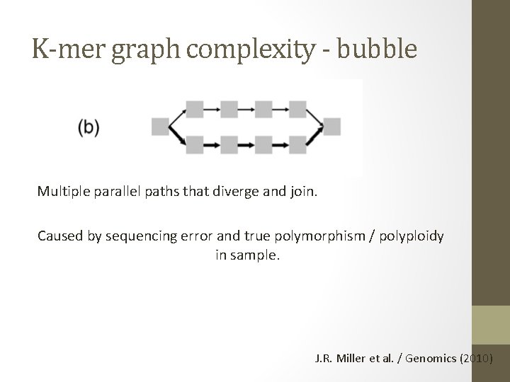 K-mer graph complexity - bubble Multiple parallel paths that diverge and join. Caused by