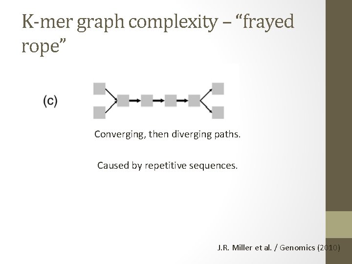 K-mer graph complexity – “frayed rope” Converging, then diverging paths. Caused by repetitive sequences.