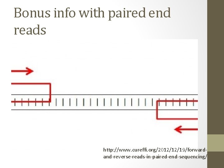 Bonus info with paired end reads http: //www. cureffi. org/2012/12/19/forwardand-reverse-reads-in-paired-end-sequencing/ 