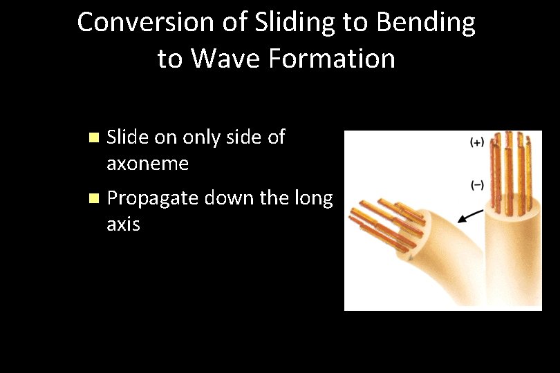 Conversion of Sliding to Bending to Wave Formation n Slide on only side of