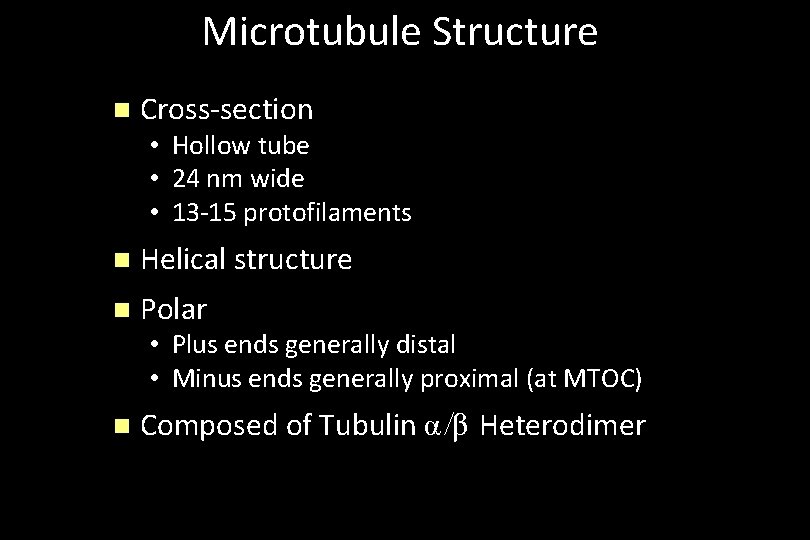Microtubule Structure n Cross-section • Hollow tube • 24 nm wide • 13 -15