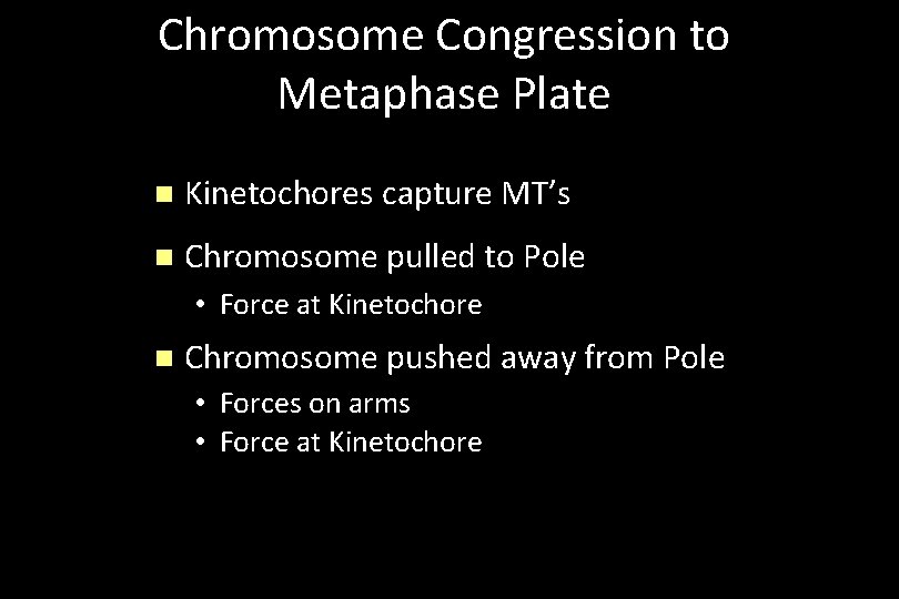 Chromosome Congression to Metaphase Plate n Kinetochores capture MT’s n Chromosome pulled to Pole