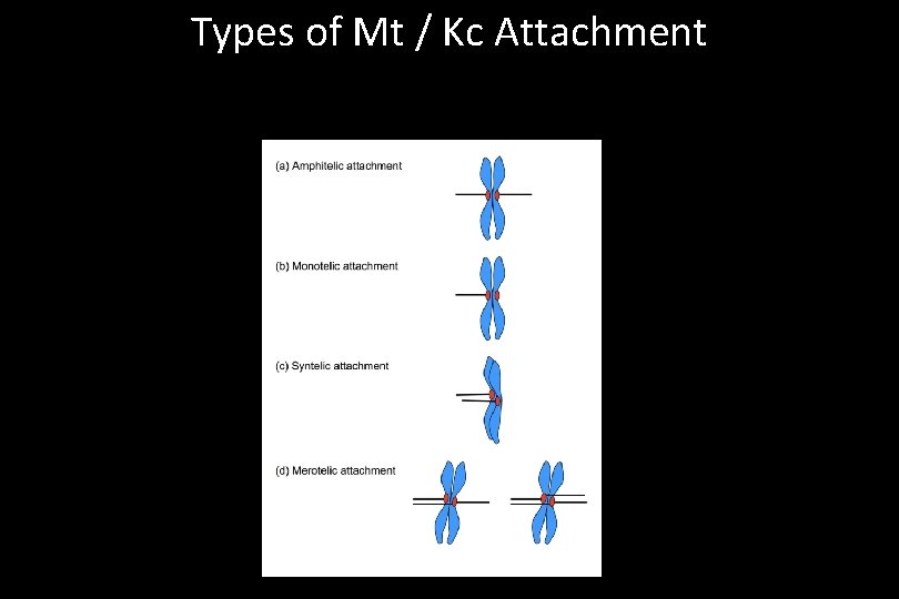 Types of Mt / Kc Attachment 