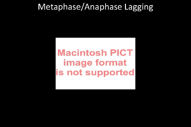 Metaphase/Anaphase Lagging 