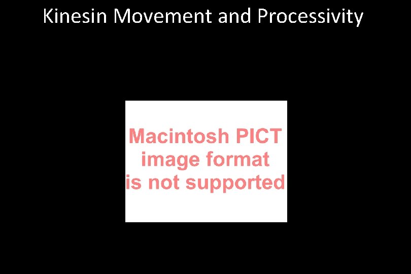 Kinesin Movement and Processivity 