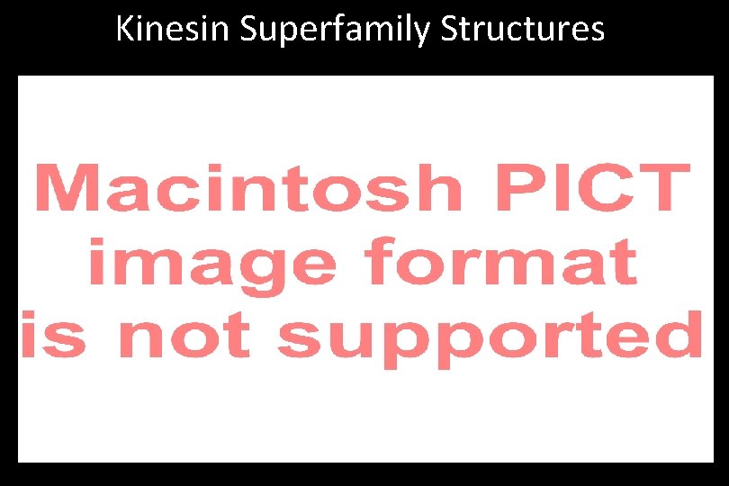Kinesin Superfamily Structures 