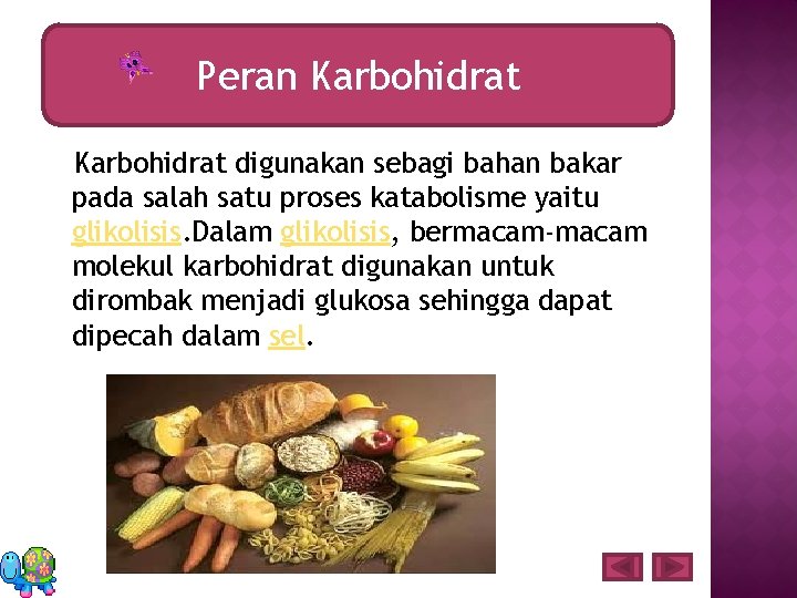 Peran Karbohidrat digunakan sebagi bahan bakar pada salah satu proses katabolisme yaitu glikolisis. Dalam