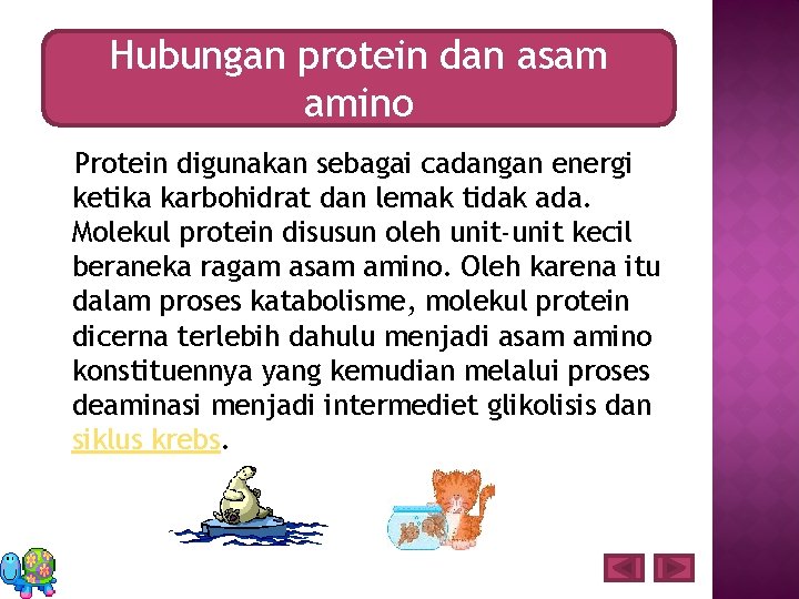 Hubungan protein dan asam amino Protein digunakan sebagai cadangan energi ketika karbohidrat dan lemak