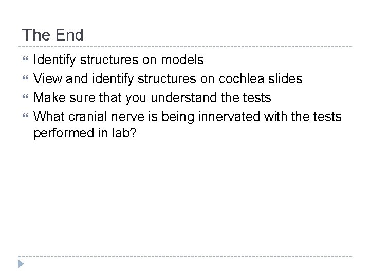 The End Identify structures on models View and identify structures on cochlea slides Make