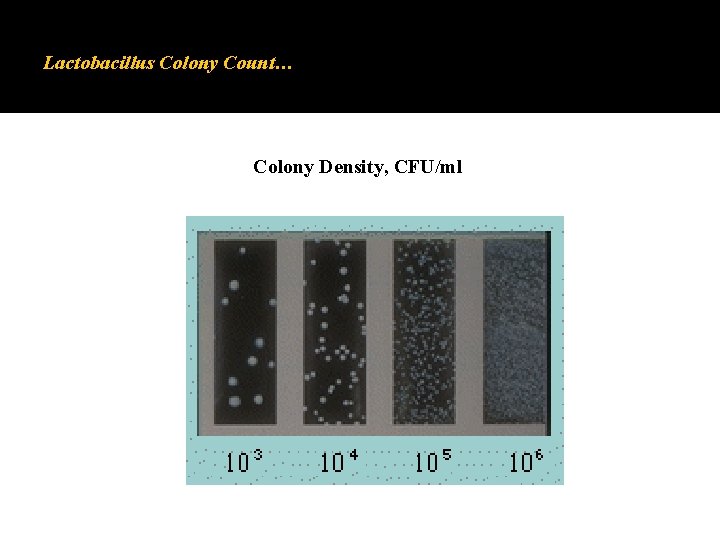 Lactobacillus Colony Count… Colony Density, CFU/ml 