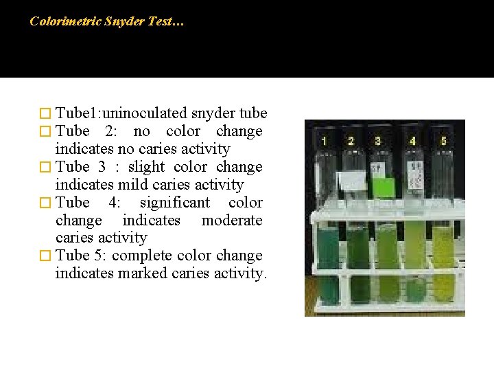 Colorimetric Snyder Test… � Tube 1: uninoculated snyder tube � Tube 2: no color Colorimetric Snyder Test… � Tube 1: uninoculated snyder tube � Tube 2: no color