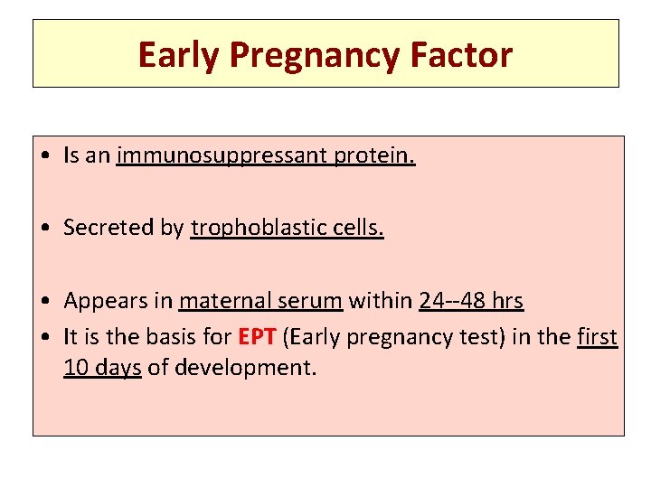 Early Pregnancy Factor • Is an immunosuppressant protein. • Secreted by trophoblastic cells. •