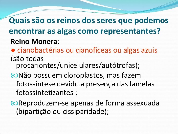 Quais são os reinos dos seres que podemos encontrar as algas como representantes? Reino