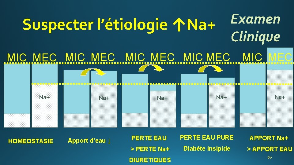 Examen Clinique Suspecter l’étiologie ↑Na+ MIC MEC Na+ HOMEOSTASIE MIC MEC Na+ Na+ Apport