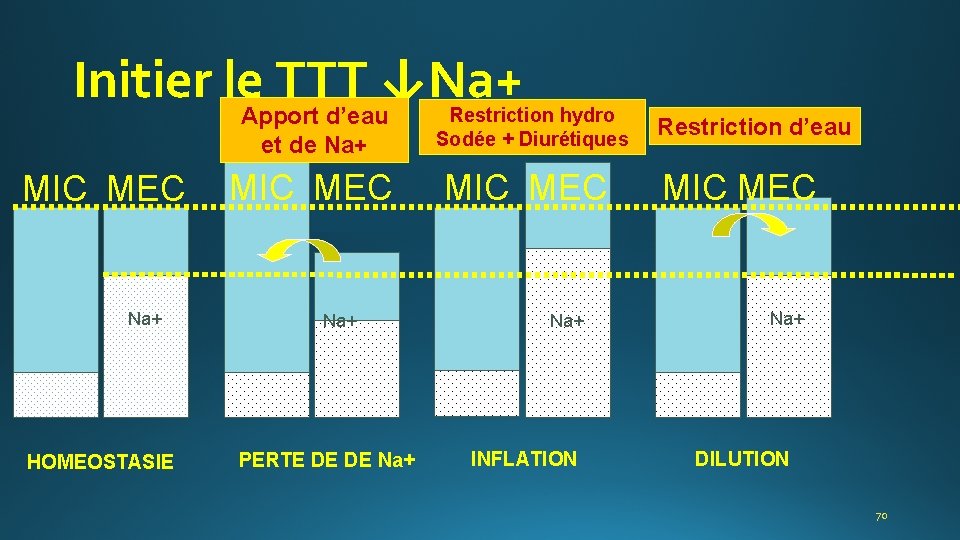 Initier le TTT ↓Na+ Apport d’eau et de Na+ MIC MEC Na+ HOMEOSTASIE MIC