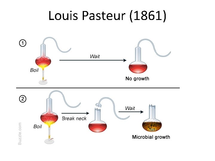 Louis Pasteur (1861) 