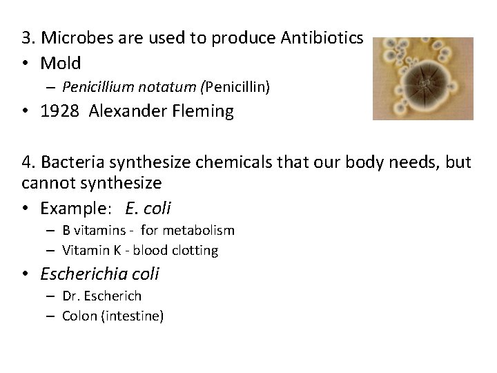 3. Microbes are used to produce Antibiotics • Mold – Penicillium notatum (Penicillin) •