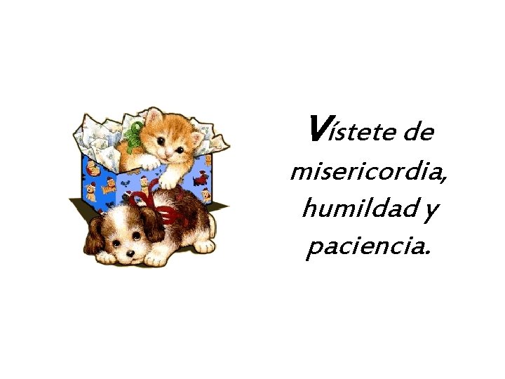 Vístete de misericordia, humildad y paciencia. 