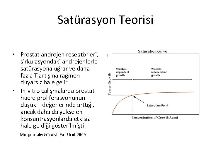 Satürasyon Teorisi • Prostat androjen reseptörleri, sirkulasyondaki androjenlerle satürasyona uğrar ve daha fazla T