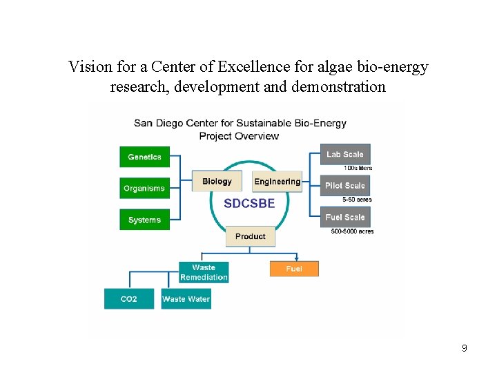 Vision for a Center of Excellence for algae bio-energy research, development and demonstration 9