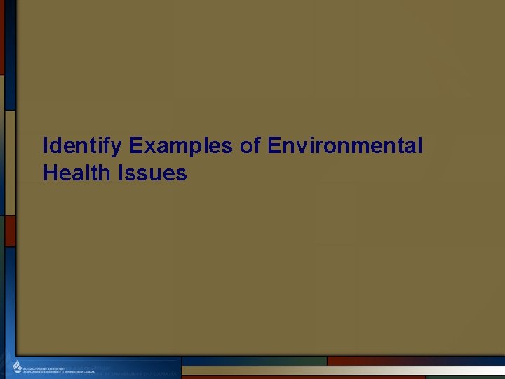 Identify Examples of Environmental Health Issues 