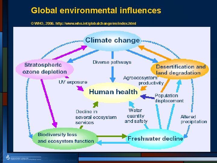 Global environmental influences © WHO, 2006. http: //www. who. int/globalchange/en/index. html 