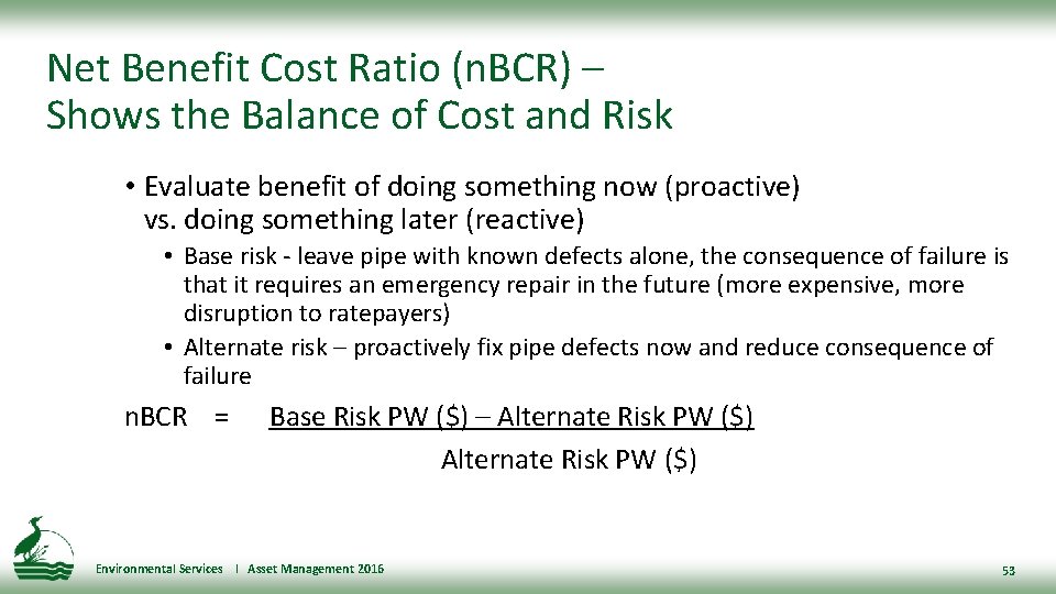 Net Benefit Cost Ratio (n. BCR) – Shows the Balance of Cost and Risk