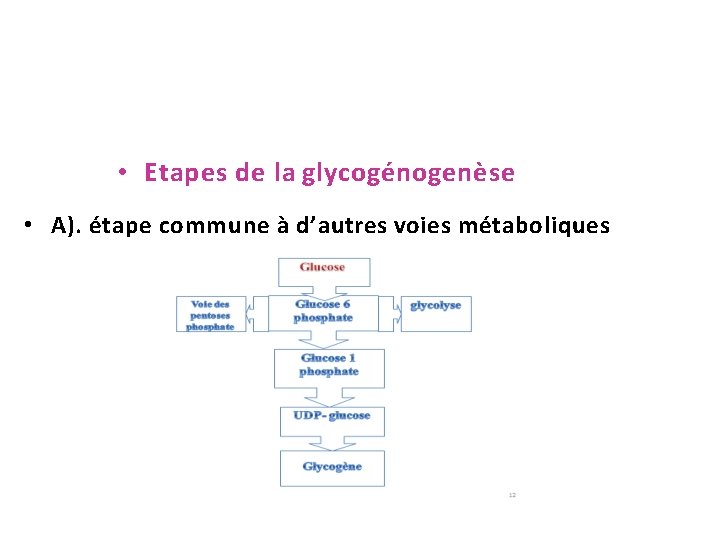  • Etapes de la glycogénogenèse • A). étape commune à d’autres voies métaboliques