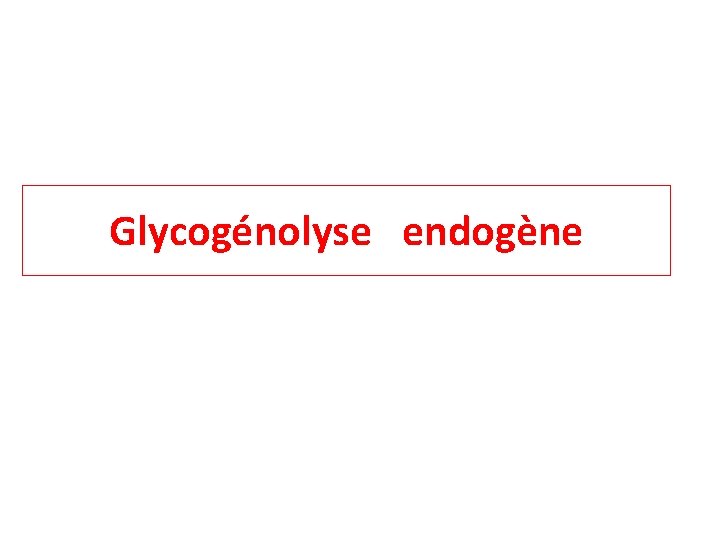 Glycogénolyse endogène 