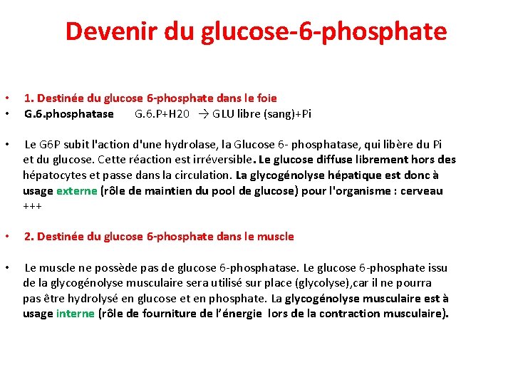 Devenir du glucose-6 -phosphate • • 1. Destinée du glucose 6 -phosphate dans le